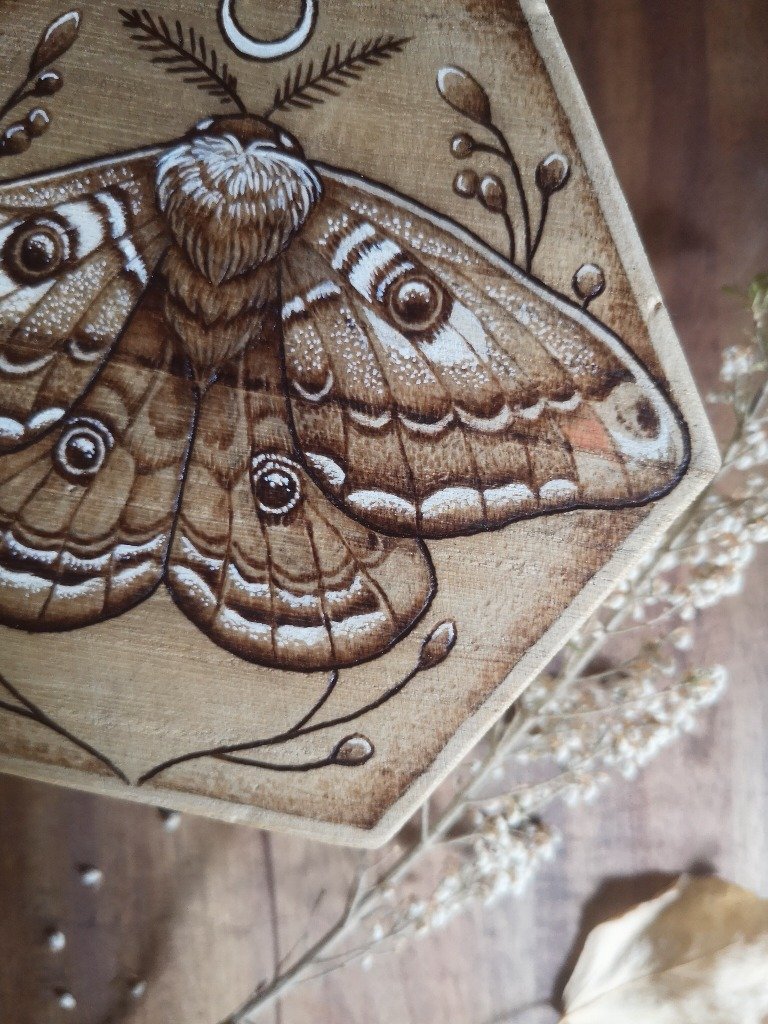 Polilla pirograbada sobre caja hexagonal