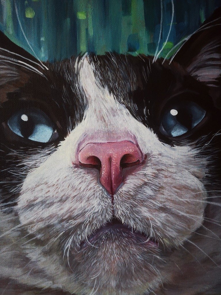 Primer plano gato al acrílico