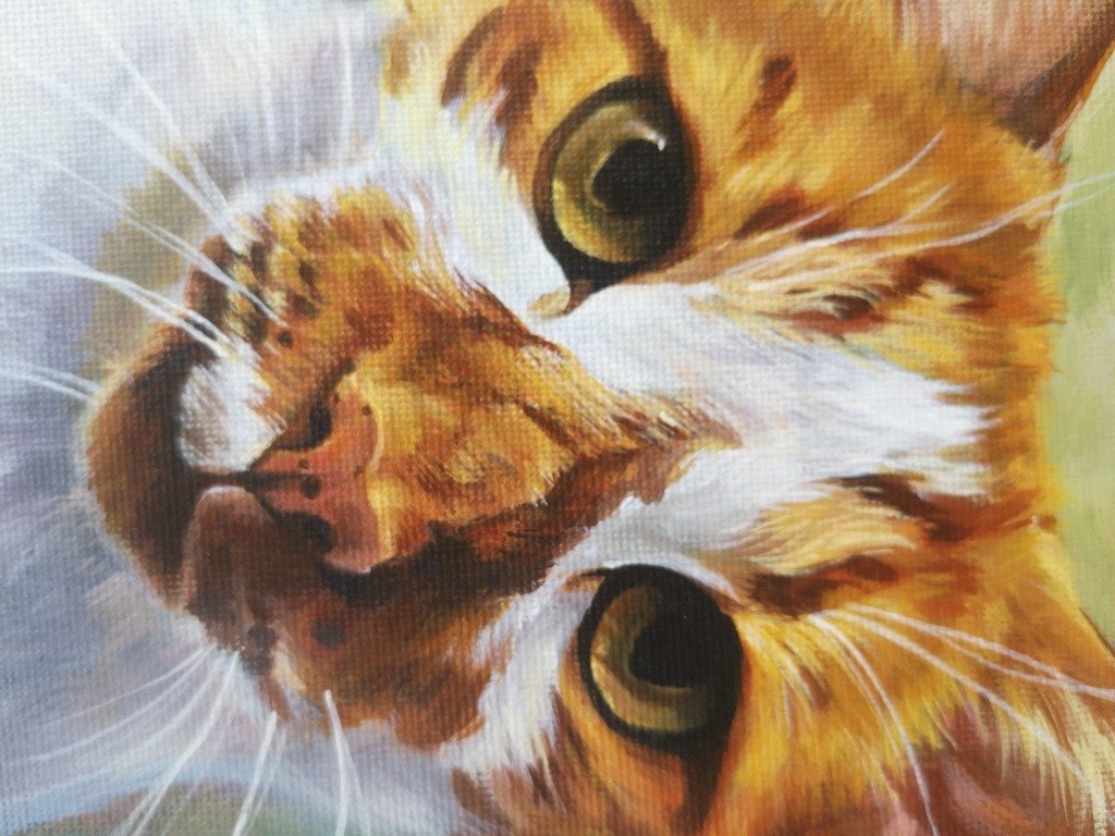 Primer plano gato naranja al acrílico